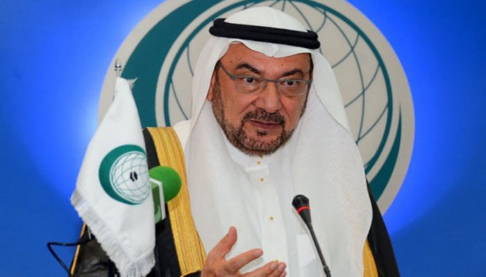 أمين عام "المؤتمر الإسلامي" يسخر بشدة من السيسي في كلمة رسمية (فيديو)