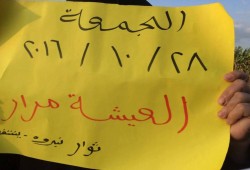 سلسلة بشرية بالدقهلية تبعتها مسيرة ضمن فعاليات "العيشة مرار"