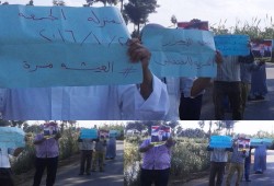 ثوار الدقهلية يواصلون فعلياتهم في جمعة "العيشة مرار"