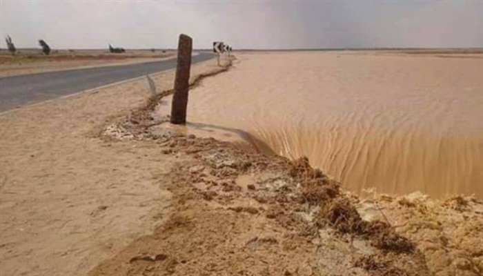 تدمير طريق رئيسي وتلف 30 فدان أراض زراعية بسبب سيول الوادي الجديد