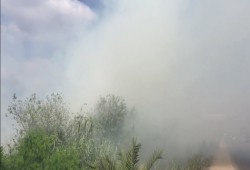 أدخنة حرق قش الأرز تغطى سماء طريق "المحلة – طنطا" بالغربية