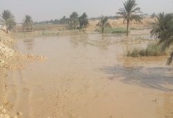 وفاة الحالة السابعة بالصعق الكهربائى نتيجة سقوط الأمطار بأسيوط