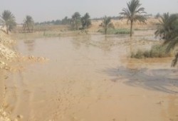 وفاة الحالة السابعة بالصعق الكهربائى نتيجة سقوط الأمطار بأسيوط