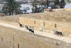 اثار رشيد تستغيث من الإهمال.. والأهالي تحركات مسؤولي الانقلاب "شو إعلامي"