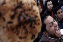 ثلاجة السيسي وصرخة الغلابة