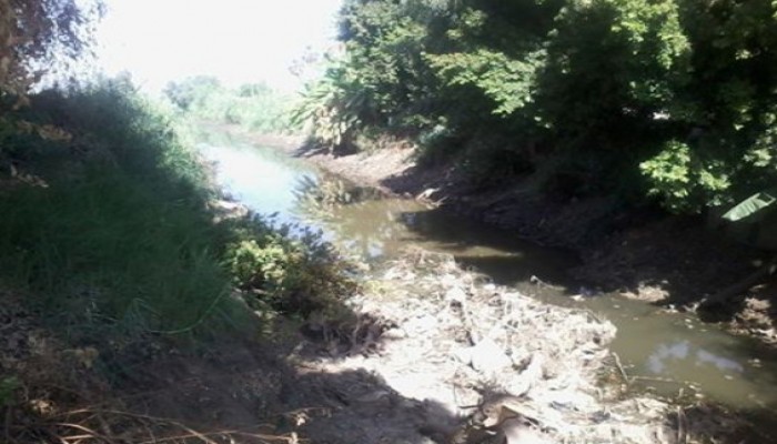 نقص مياه الرى بالرحمانيه والمحمودية يهدد الأراضي الزراعية بالبوار