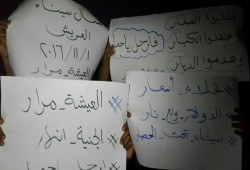 فعالية ثانية لثوار أرض الفيروز مساء الثلاثاء ضمن فعاليات اسبوع "العيشة مرار"