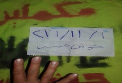 سلسلة بشرية في ثاني فاعليات " أحرار قرى حوش عيسى " ضد جرائم العسكر