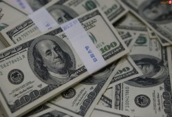 شعبة المستوردين: عدم توفير الدولار في البنوك بعد التعويم ينذر بكارثة