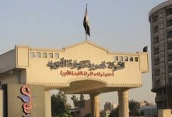 "المصرية للأدوية" تُخفض الاستيراد 50% بعد تعويم الجنيه