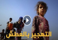 السيسي وسيناء .. التهجير بالعطش