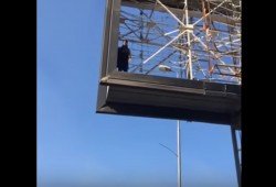 سيدة مصرية تحاول الانتحار في ميدان التحرير