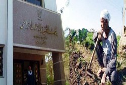 مخطط للاستيلاء على أراضي الفلاحين من خلال ضم بنك التنمية للمركزي