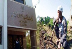 مخطط للاستيلاء على أراضي الفلاحين من خلال ضم بنك التنمية للمركزي
