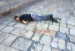 شهيد فلسطيني برصاص الاحتلال بزعم محاولته تنفيذ عملية طعن