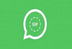 واتساب تبدأ استخدام صور "gif" المتحركة في آيفون