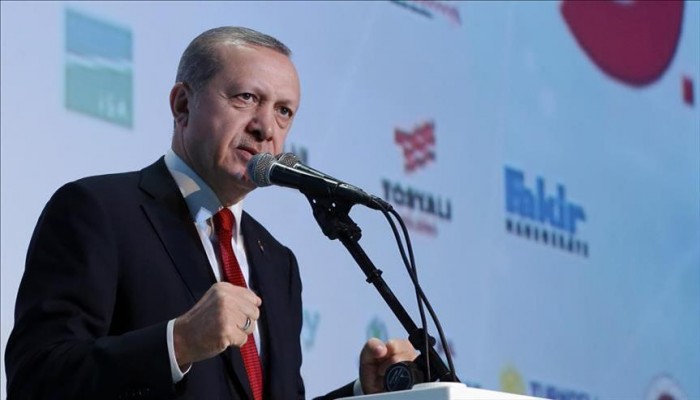 أردوغان: آمل أن يحمل فوز ترامب خطوات إيجابية للمنطقة والعالم