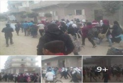طلاب حوشى عيسى: لسه الطالب هو الحل