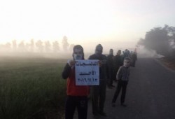 البحيرة: سلسلتان بشريتان لثوار "الدلنجات" للمطالبة بإسقاط النظام العسكري