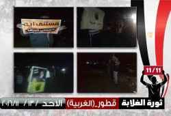 فعالية مناهضة للانقلاب لثوار قطور بالغربية