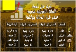 تعرف على أسعار السلع التموينية الجديدة عقب قرار وزير تموين الانقلاب بزيادتها