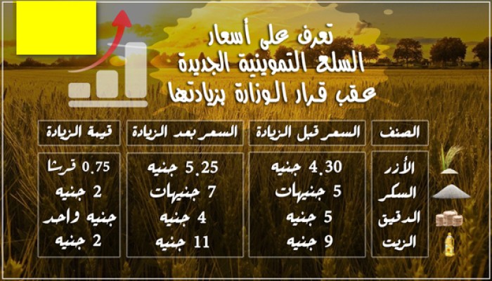 تعرف على أسعار السلع التموينية الجديدة عقب قرار وزير تموين الانقلاب بزيادتها