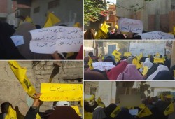 ثوار القرين بالشرقية يتظاهرون في جمعة "ارحلوا" ويؤكدون على الصمود