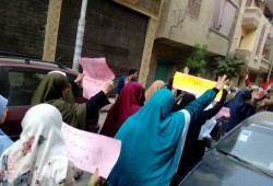 المنوفية : مسيره بمدينة بركة السبع