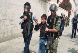 اليوم العالمي للطفل: 350 طفلاً فلسطينيًا يقبعون بالسجون الصهيونية
