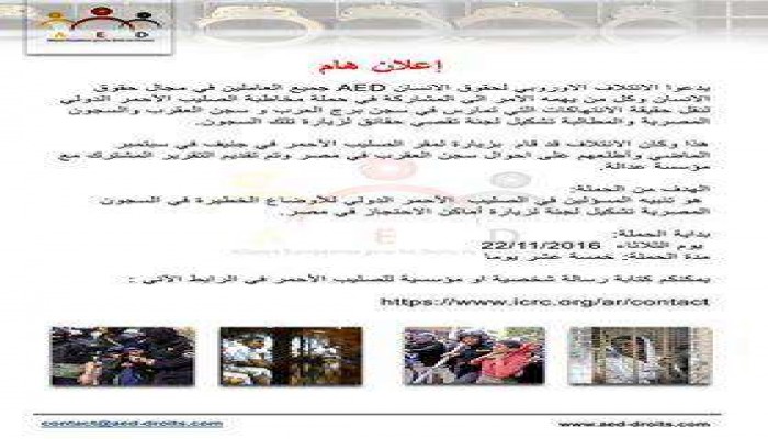 بدء حملة دولية لكشف الانتهاكات بسجون الانقلاب