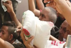 تموين الانقلاب تتراجع عن قرار رفع سعر السكر إلى 11 جنيها