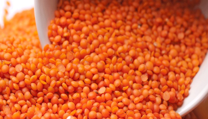 طعام الغلابة.. كيلو "العدس الأصفر" يصل 36 جنية