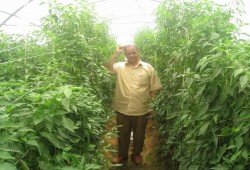 الحكم بسجن العالم المصري "أحمد حميد" عسكريا 20 عام