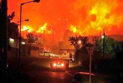 صهاينة يشعلون الحرائق في حقول فلسطينية والرياح تحولها تجاههم