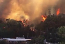 شاهد : النيران تلتهم بنايات ومنازل حيفا المحتلة