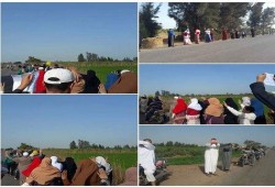 3 مظاهرات لأحرار الدقهلية تجدد العهد وتدعو لوحدة الصف الثوري