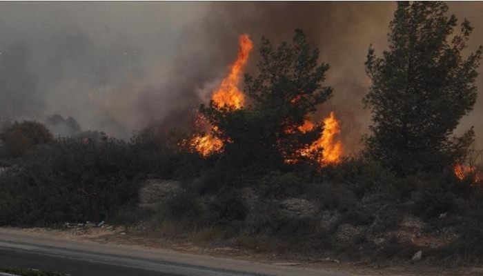 تجدد اندلاع الحرائق في "الكيان الصهيوني".. والخسائر الأولية 120 مليون دولار