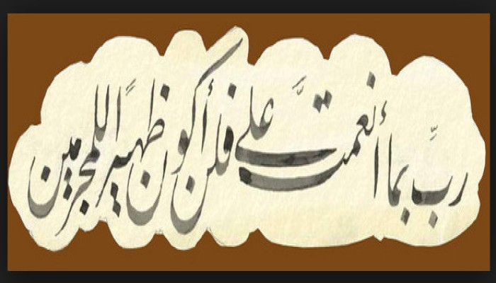 فلن أكون ظهيرا للمجرمين