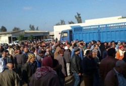 استمرار إضراب عمال "سكر الدلتا" للأسبوع الثاني