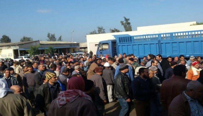 استمرار إضراب عمال "سكر الدلتا" للأسبوع الثاني