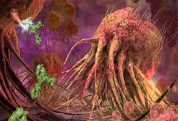 اكتشاف جزيئات كيميائية تقتل الخلايا السرطانية