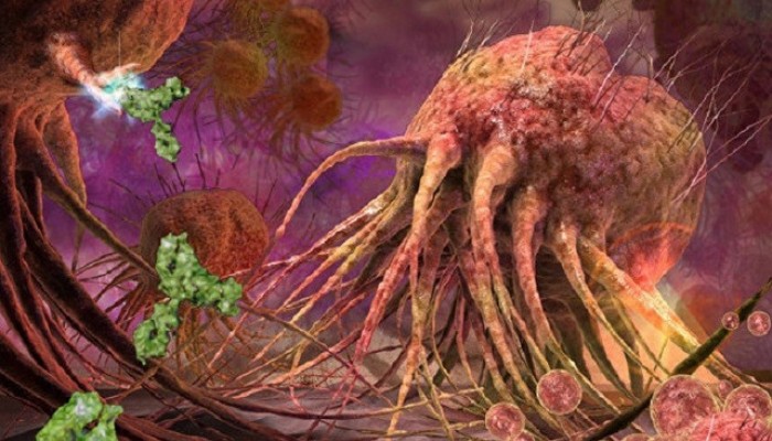 اكتشاف جزيئات كيميائية تقتل الخلايا السرطانية