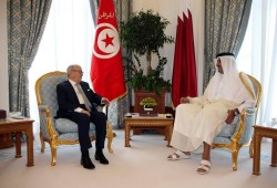 الدعم الخليجي يغادر "القاهرة" إلى "تونس" و "السبسي" يعاير "السيسي"