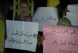 سيناء : وقفة لثوار بئرعبد ضمن فعاليات "لساها ثورة يناير"