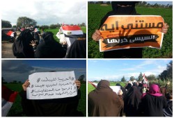 الدقهلية:  ثوار نبروه يواصلون مظاهرات "توحدوا" فى يومها الثالث