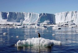 ذوبان جليد بحرى قطبى بحجم الهند