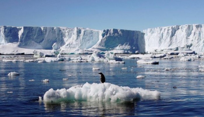 ذوبان جليد بحرى قطبى بحجم الهند