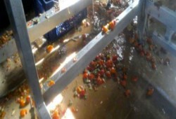 بعد فضيحة الكاتشب.. امريكانا تتبرأ من "هاينز- مصر"