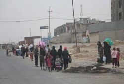 الأمم المتحدة: عدد النازحين من الموصل تجاوز 82 ألفًا