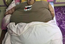 بعد تجاوز وزنها نصف طن.. الخارجية الهندية تعلن مساعدة المصرية "إيمان"